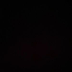 Meet your Posher, Ashlyn